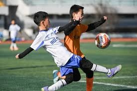 2026年世界杯：美加墨三国合作与政治因素交织的新篇章
